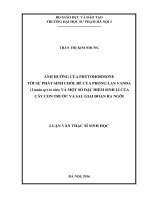 Ảnh hưởng của Phytohormone tới sự phát triển chòi, rễ của phong lan Vanda (Vanda sp) in vitro và một số đặc điểm sinh lí của cây trước và sau giai đoạn ra ngôi