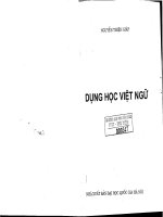 Dụng học việt ngữ 