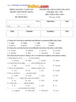 Đề thi giữa học kì 2 môn Tiếng anh lớp 9 THCS Phước Thắng, Vũng Tàu năm học 2012  2013 