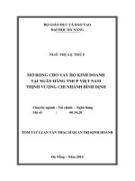 Mở rộng cho vay hộ kinh doanh tại Ngân hàng TMCP Việt Nam Thịnh Vượng chi nhánh Bình Định