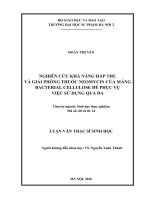 Nghiên cứu tạo màng và xử lý màng BC có kích thước và tính chất phù hợ với việc hấp thu thuốc phục vụ việc sử dụng trên da 