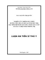 Nghiên cứu nhiễm giun tròn đường tiêu hóa ở chó tại tỉnh Phú Thọ, đặc điểm bệnh do giun đũa Toxocara canis gây ra và biện pháp phòng trị (LA tiến sĩ)