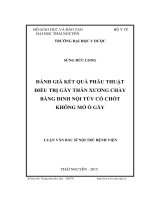 Đánh giá kết quả phẫu thuật điều trị gãy thân xương chày bằng đinh nội tủy có chốt không mở ổ gãy (LV thạc sĩ)