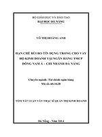 Hạn chế rủi ro tín dụng trong cho vay hộ kinh doanh tại Ngân hàng TMCP Đông Nam Á - Chi nhánh Đà Nẵn