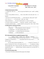 Đề thi giữa học kì 2 môn Tiếng anh lớp 9 trường Trương Định, Ninh Thuận năm học 2014