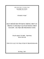 Hạn chế rủi ro tín dụng trong cho vay trung và dài hạn tại Ngân hàng TMCP Sài Gòn - Hà Nội Chi nhánh Đà Nẵng