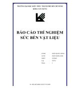 Báo cáo Thí nghiệm Sức bền vật liệu  Trần Song Ánh