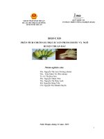 Báo Cáo Phân Tích Chuỗi Giá Trị Các Sản Phẩm Chuối  Và  Ngô  Huyện Thuận Bắc