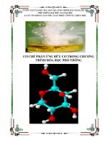 Cơ chế phản ứng hóa học trong chương trình Trung học Phổ thông phần cơ sở Lý thuyết