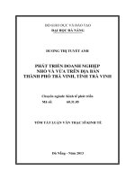 Phát triển doanh nghiệp nhỏ và vừa trên địa bàn thành phố Trà Vinh, tỉnh Trà Vin