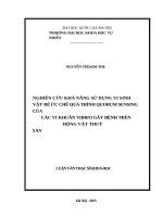 Luận văn nghiên cứu khả năng sử dụng vi sinh vật để ức chế quá trình Quorum Sensing của các vi khuẩn Vibrio gây bệnh trên động vật thủy sản