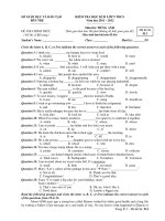 Đề thi giữa học kì 2 môn Tiếng anh lớp 9 Bến Tre năm học 2011  2012