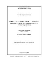 Nghiên cứu tạo dòng thuốc lá (Nicotiana tabacum L.) mang gen GmDREB2 phận lập từ cây đậu tương (LV thạc sĩ)