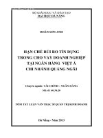 Hạn chế rủi ro tín dụng trong cho vay doanh nghiệp tại Ngân hàng Việt Á - Chi nhánh Quảng Ngãi