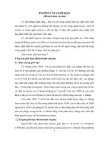 bồi dưỡng học sinh giỏi môn sinh học thpt chuyên đề ENZIM cắt GIỚI HẠN 