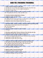 FBMạnhĐức 03  TEST giun toc 