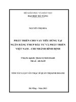 Phát triển cho vay tiêu dùng tại Ngân hàng TMCP Đầu tư và Phát triển Việt Nam - Chi nhánh Bình Định
