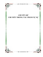 Tài liệu ôn thi học sinh giỏi ngữ văn thpt chuyên đề CHUYÊN đề CHI TIẾT TRONG tác PHẨM tự sự