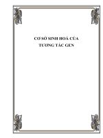 bồi dưỡng học sinh giỏi môn sinh học thpt chuyên đề cơ sở SINH HOÁ của TƯƠNG tác GEN (1) 
