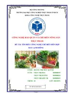 Đề Tài Tìm Hiểu Công Nghệ Chế Biến Hỗn Hợp Rau Lạnh Đông