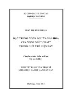 Đặc trưng ngôn ngữ và văn hóa của ngôn ngữ Chat trong giới trẻ hiện nay