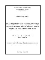 Quản trị rủi ro cho vay tiêu dùng tại Ngân hàng TMCP Đầu tư và Phát triển Việt Nam - Chi nhánh Bình Địn