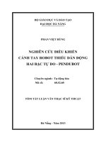 Nghiên cứu điều khiển cánh tay Robot thiếu dẫn động hai bậc tự do - Pendubot