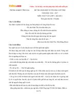 Đề thi chọn đội tuyển học sinh giỏi cấp tỉnh môn Ngữ văn lớp 9 Phòng GDĐT Tĩnh Gia, Thanh Hóa lần 2 năm học 2016  2017 