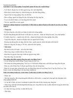 câu hỏi tự luận địa 11 ôn tập hk2