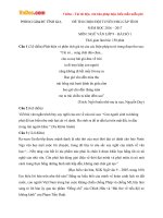 Đề thi chọn đội tuyển học sinh giỏi cấp tỉnh môn Ngữ văn lớp 9 Phòng GDĐT Tĩnh Gia, Thanh Hóa lần 1 năm học 2016  2017 