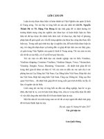 Nghiên cứu năng lực cạnh tranh của ngành vận tải biển Việt Nam (LA tiến sĩ)