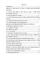 KẾT QUẢ HOẠT ĐỘNG SẢN XUẤT KINH DOANH VÀ HƯƠNG HƯỚNG PHÁT TRIỂN của công ty TNHH ECOS ELECTRONIC Việt Nam