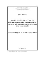 Nghiên cứu vai trò của phụ nữ nông thôn trong phát triển kinh tế hộ gia đình trên địa bàn huyện Phú Lương, tỉnh Thái Nguyên (LV thạc sĩ)