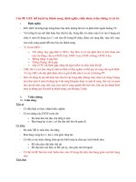 Chửa ngoài tử cung thể huyết tụ thành nang  Đề cương sản tổng hợp