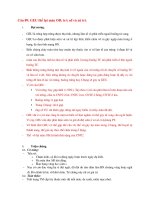 Chửa ngoài tử cung thể lụt máu  Đề cương sản tổng hợp