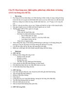 Rau bong non: định nghĩa, phân loại, chẩn đoán và hướng xử trí rau bong non thể ẩn  Đề cương sản tổng hợp