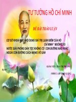 MUỐN CỨU NƯỚC GIẢI PHÓNG DÂN TỘC KHÔNG CÓ  CON ĐƯỜNG NÀO KHÁC NGOÀI CON ĐƯỜNG CÁCH MẠNG VÔ SẢN