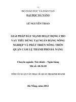 Giải pháp đẩy mạnh hoạt động cho vay tiêu dùng tại Ngân hàng Nông nghiệp và Phát triển nông thôn quận Cẩm Lệ thành phố Đà Nẵng