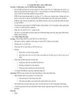 Rau tiền đạo  Đề cương sản tổng hợp