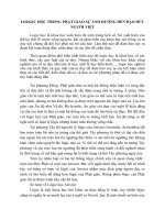 TIỂU LUẬN TRIẾT học   LOGIC TRONG PHẬT GIÁO và sự ẢNH HƯỞNG đến đạo đức NGƯỜI VIỆT