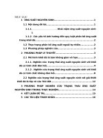 ứng suất nguyên sinh-cơ học đá tiểu luận 1