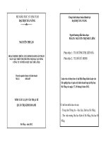 Hoạch định chiến lược kinh doanh sản phầm may mặc trên thị trường nội địa tại tổng công ty cổ phần dệt may Hòa Thọ