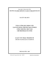 Tăng cường huy động vốn tại Ngân hàng Thương mại cổ phần Công thương Việt Nam  Chi nhánh Quảng Ninh (LV thạc sĩ)