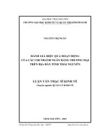 Đánh giá hiệu quả hoạt động của các chi nhánh Ngân hàng thương mại trên địa bàn tỉnh Thái Nguyên (LV thạc sĩ)
