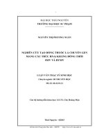 Nghiên cứu tạo dòng thuốc lá chuyển gen mang cấu trúc RNAi kháng đồng thời SMV và BYMV (LV thạc sĩ)