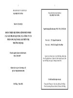 Hoàn thiện hệ thống kênh phân phối các sản phẩm mật ong của công ty cổ phần ong mật Đắk Lawsk trên thị trường nội đị