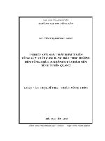 Nghiên cứu giải pháp phát triển vùng sản xuất cam hàng hóa theo hướng bền vững trên địa bàn huyện Hàm Yên tỉnh Tuyên Quang (LV thạc sĩ)