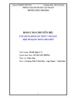 Toan 9 ung dung dong du thuc vao giai toan chia het le quang dong THCS thai HoaLT