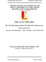 Định lượng vitamin B12 bằng sắc ký lỏng cao áp