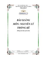 Nguyên lý thống kê bài giảng, giáo trình dành cho sinh viên đại học, cao đẳng
